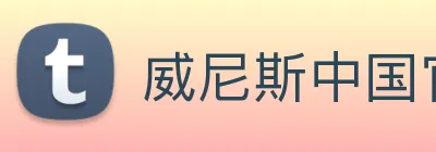 威尼斯中国官网 Logo